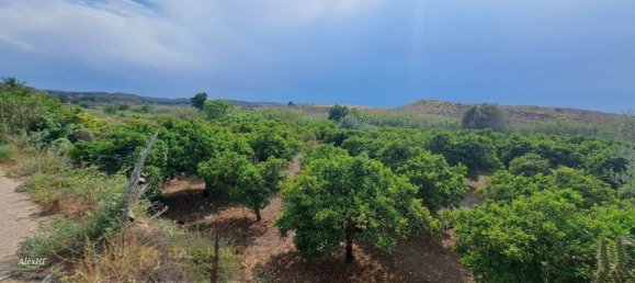 قطعة أرض في Guardamar del Segura, Spain رقم 161147 4