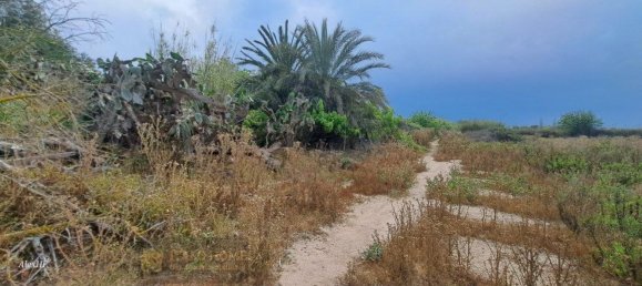 قطعة أرض في Guardamar del Segura, Spain رقم 161147 5