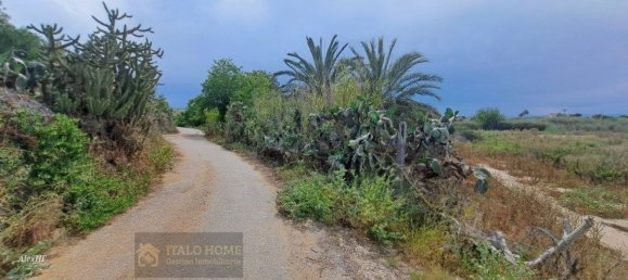 قطعة أرض في Guardamar del Segura, Spain رقم 161147 3