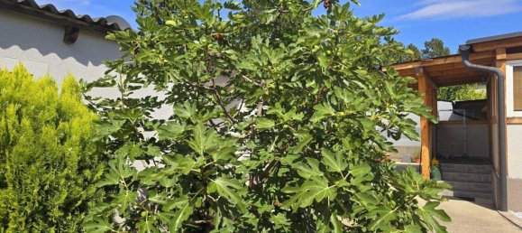 4-salle Maison à Leobersdorf, Austria No. 211886 2