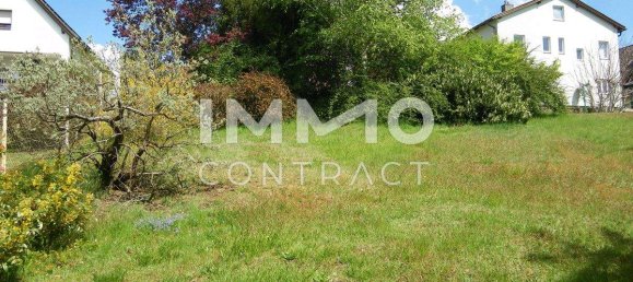 4غرفة منزل في Heidenreichstein, Austria رقم 181339 10