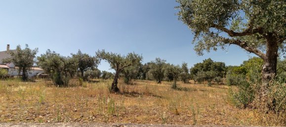 2 Schlafzimmer Haus in Alegrete, Portugal, Nr. 20932 7