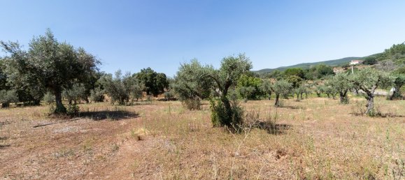 2 Schlafzimmer Haus in Alegrete, Portugal, Nr. 20932 11