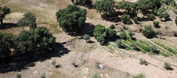 2 Schlafzimmer Haus in Alegrete, Portugal, Nr. 20932 29