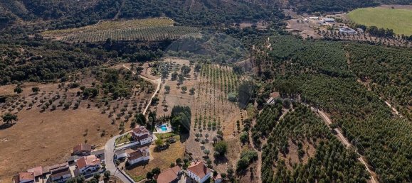 4 bedrooms House in Tramagal, Portugal No. 30222 5