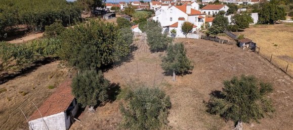 4 bedrooms House in Tramagal, Portugal No. 30222 7