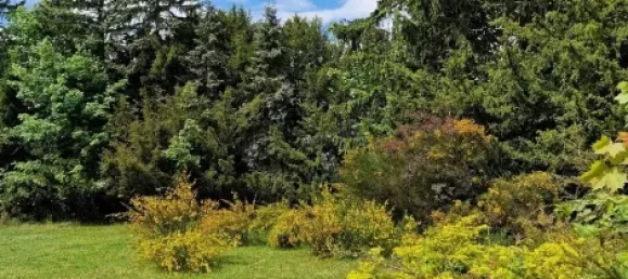 Casa de 3 habitaciónes en Vogtlandkreis, Germany No. 282978 7