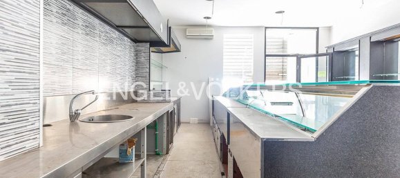 1 room Commercial property in Ariccia, Italy No. 63004 3