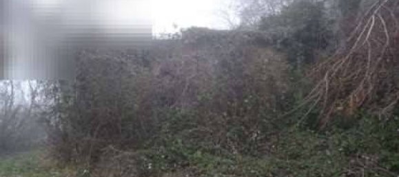 5-Zimmer Haus in Neviano degli Arduini, Italy, Nr. 299616 5