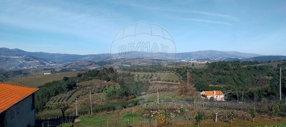 4 غرف نوم قلاع في Peso da Regua, Portugal رقم 167573 37