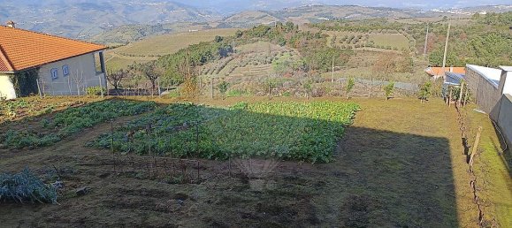 4 غرف نوم قلاع في Peso da Regua, Portugal رقم 167573 12