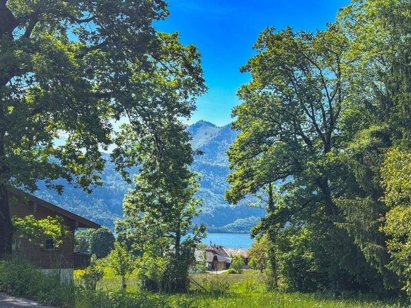  Land in St. Wolfgang im Salzkammergut, Austria No. 160516