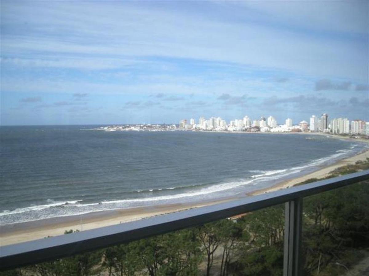 3 bedrooms Apartment in Maldonado, Uruguay No. 5368