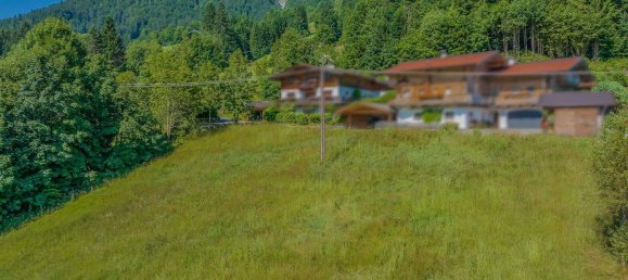  Land in Kirchberg in Tirol, Austria No. 41612 5