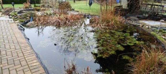 11-Zimmer Haus in Zwickau, Germany, Nr. 161811 6