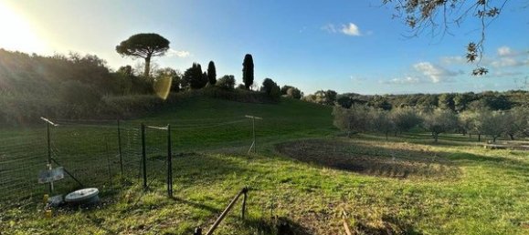 Дом с 10 комнатами в Казале Мариттимо, Италия № 221121 11