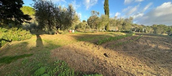 Дом с 10 комнатами в Казале Мариттимо, Италия № 221121 2