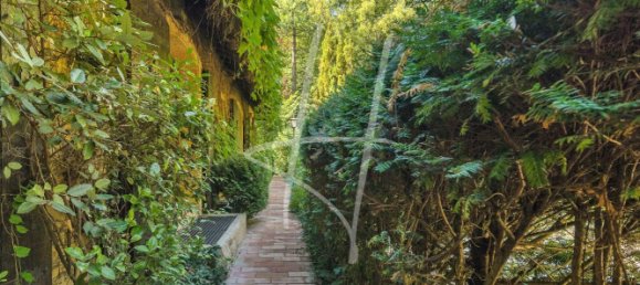 Castelos T8 em Plappeville, France N.º 59512 14