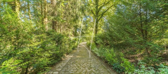 Castelos T8 em Plappeville, France N.º 59512 10