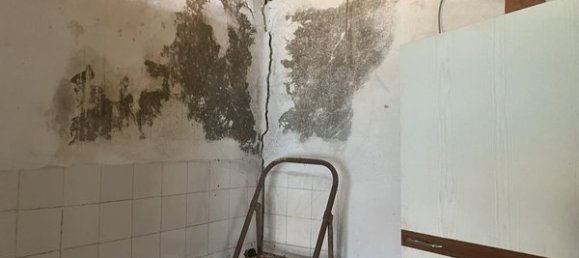 4 bedrooms House in Trancoso, Portugal No. 24272 9