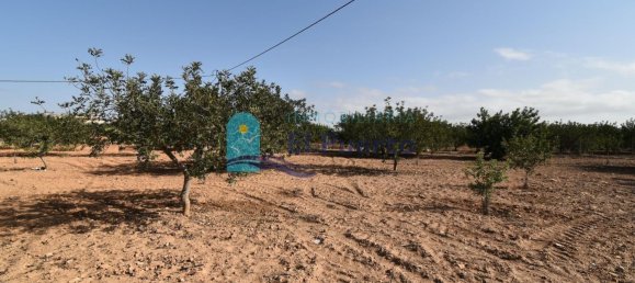 3 bedrooms House in Fuente Alamo, Spain No. 98536 42