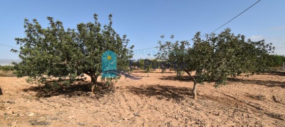 3 bedrooms House in Fuente Alamo, Spain No. 98536 41