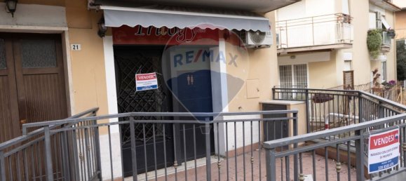 1-Zimmer Gewerbliche Immobilie in Albano Laziale, Italy, Nr. 136728 5