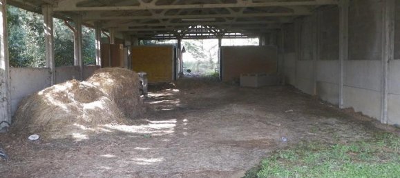 30 rooms House in Monteroni d'Arbia, Italy No. 130081 6