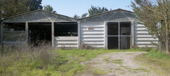 30 rooms House in Monteroni d'Arbia, Italy No. 130081 4