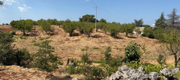 Terreno em Ostuni, Italy 10000 m² N.º 277327 9