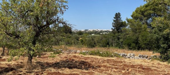 Terreno em Ostuni, Italy 10000 m² N.º 277327 13