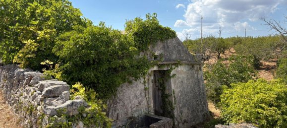 Terreno em Ostuni, Italy 10000 m² N.º 277327 10