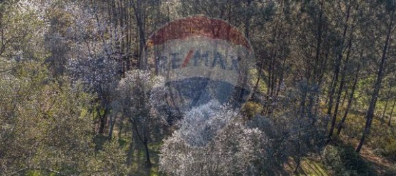  قطعة أرض في Ponte de Lima, Portugal 3748متر مربع رقم 40219 4