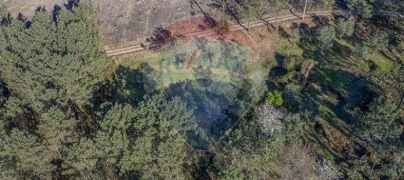  قطعة أرض في Ponte de Lima, Portugal 3748متر مربع رقم 40219 13