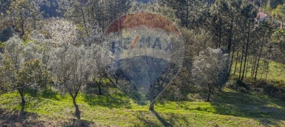  قطعة أرض في Ponte de Lima, Portugal 3748متر مربع رقم 40219 14