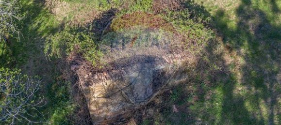  قطعة أرض في Ponte de Lima, Portugal 3748متر مربع رقم 40219 5