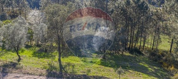  قطعة أرض في Ponte de Lima, Portugal 3748متر مربع رقم 40219 11