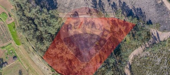  قطعة أرض في Ponte de Lima, Portugal 3748متر مربع رقم 40219 3