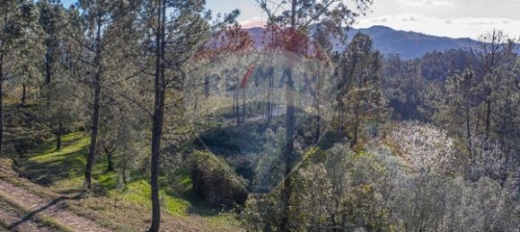  قطعة أرض في Ponte de Lima, Portugal 3748متر مربع رقم 40219 2