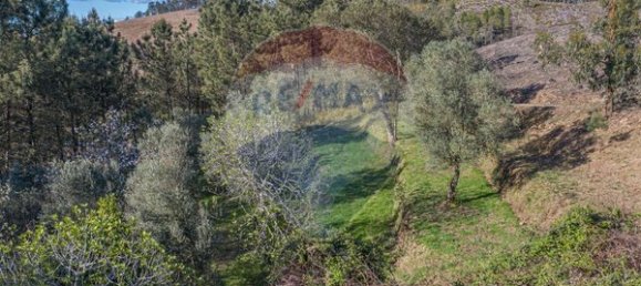  قطعة أرض في Ponte de Lima, Portugal 3748متر مربع رقم 40219 8