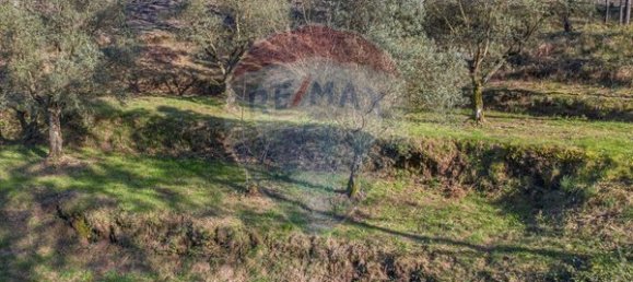  قطعة أرض في Ponte de Lima, Portugal 3748متر مربع رقم 40219 10