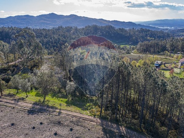  قطعة أرض في Ponte de Lima, Portugal 3748متر مربع رقم 40219