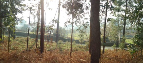 Grundstück in Barcelos, Portugal, Nr. 33585 12