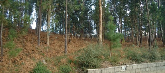 Grundstück in Barcelos, Portugal, Nr. 33585 11