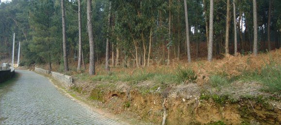 Grundstück in Barcelos, Portugal, Nr. 33585 5