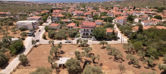  فندق في Thasos, Greece رقم 55169 2