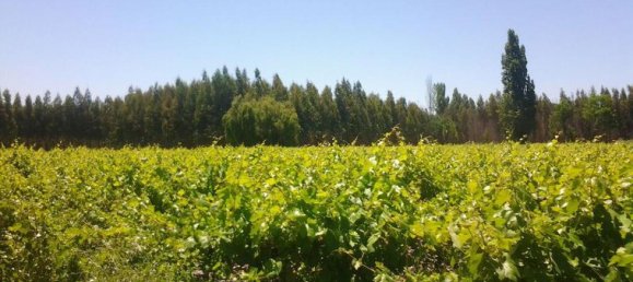 Terreno em Biobio, Chile N.º 705 2