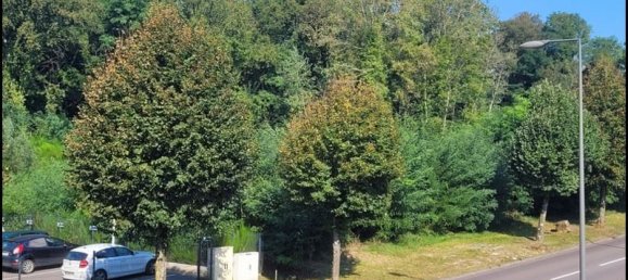 3 bedrooms Duplex in Saint-Avold, France No. 239741 12