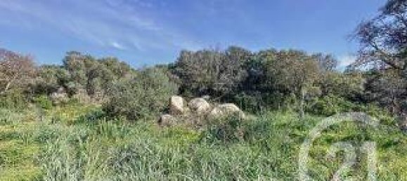 Земельный участок 899м² в Порто-Веккьо, Франция № 77459 2