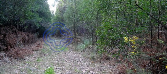 16212m² Land in Vila Nova de Gaia, Portugal No. 47832 18